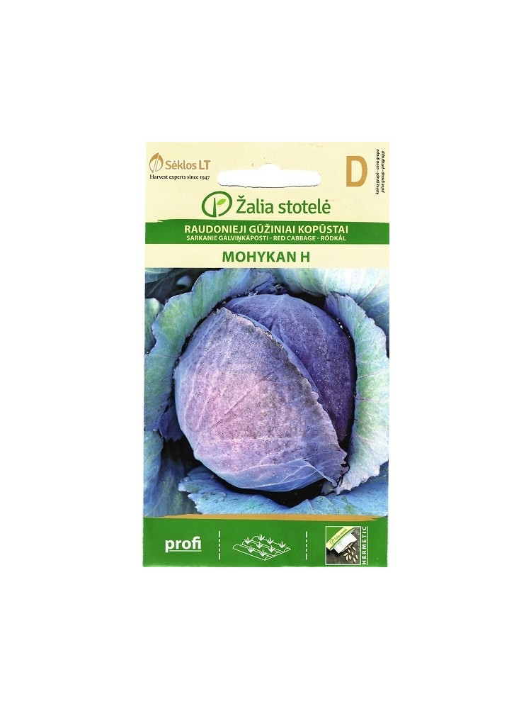 Red Cabbage 'Mohykan'  H, 0.5 g