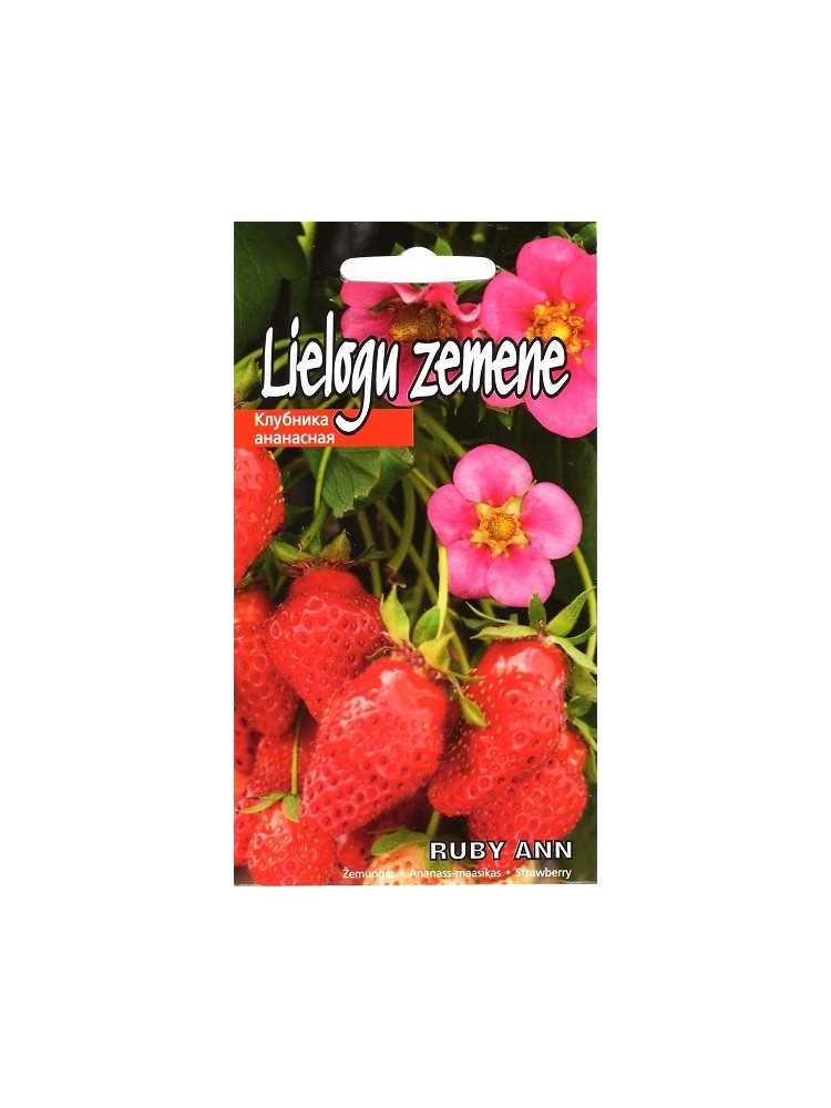 Strawberry 'Ruby Ann' 5 seeds