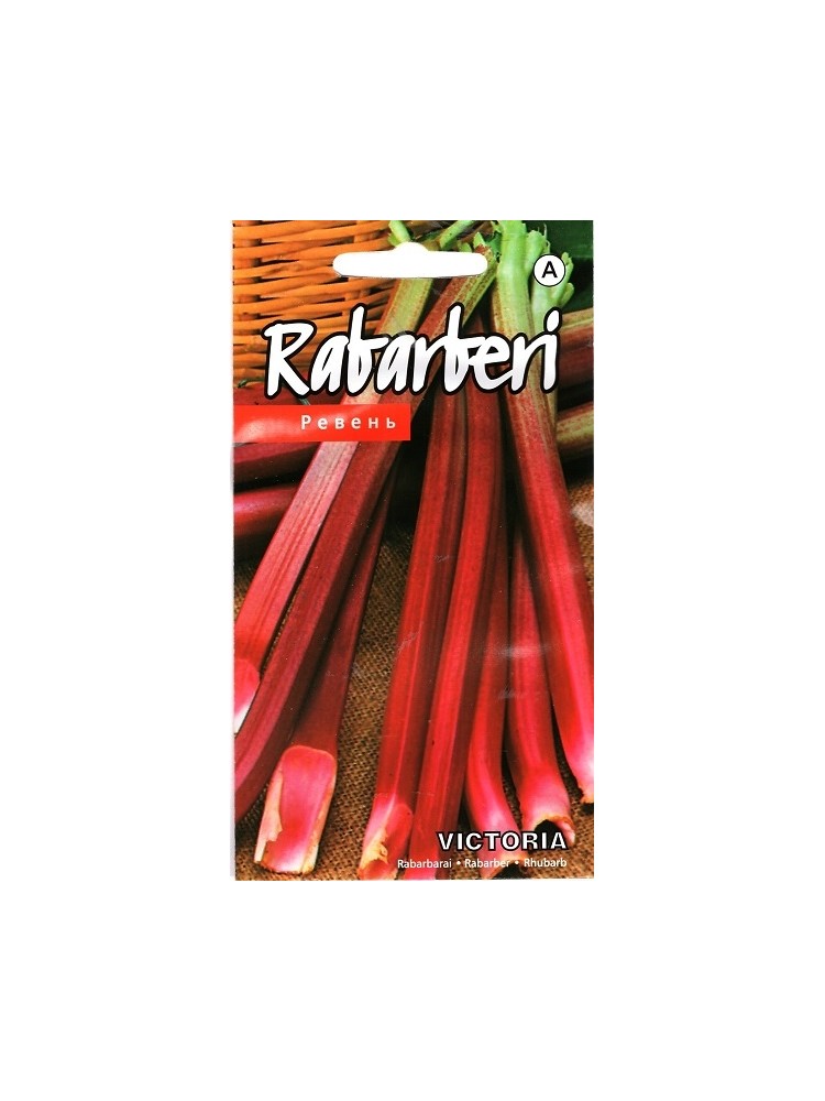 Rhubarb 'Victoria' 0,5 g
