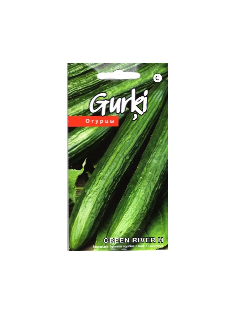 Cucumber 'Green River' H, 10 seeds