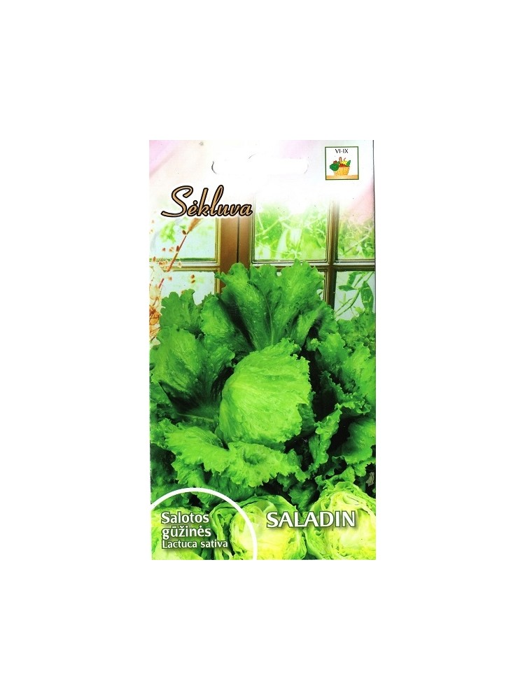 Lettuce 'Saladin' 0,5 g