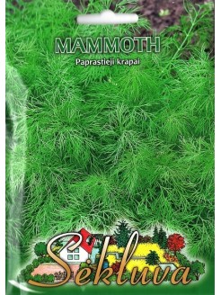 Põõsastill 'Mammoth' 5 g