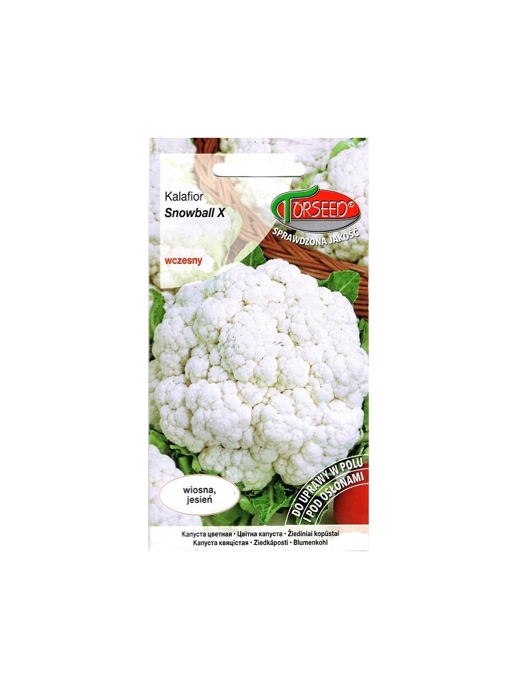 Cauliflower 'Snowball' 1 g