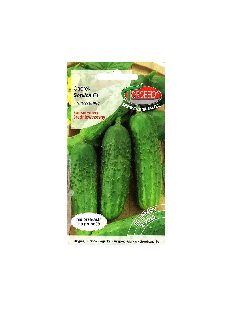 Cucumber 'Soplica' H, 3 g