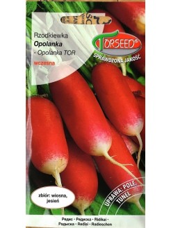 Radish 'Opolanka' 10 g