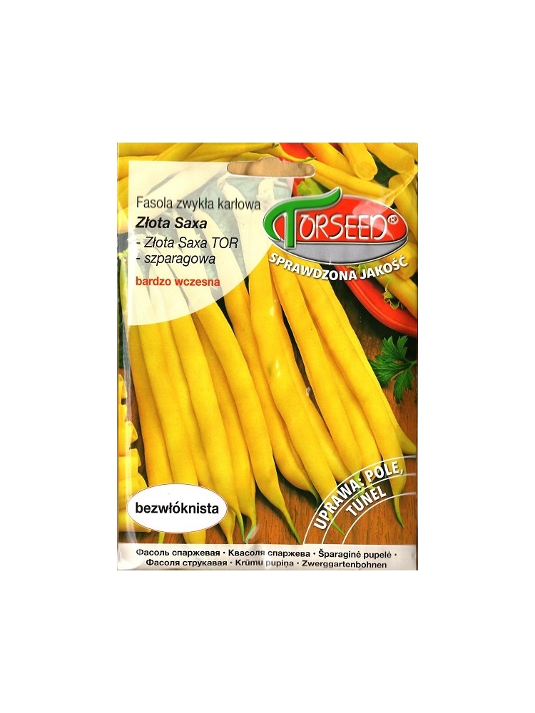 Gartenbohne 'Zlota Saxa' 50 g