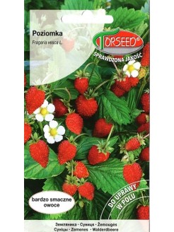 Woodland strawberry 'Rujana' 0,2 g