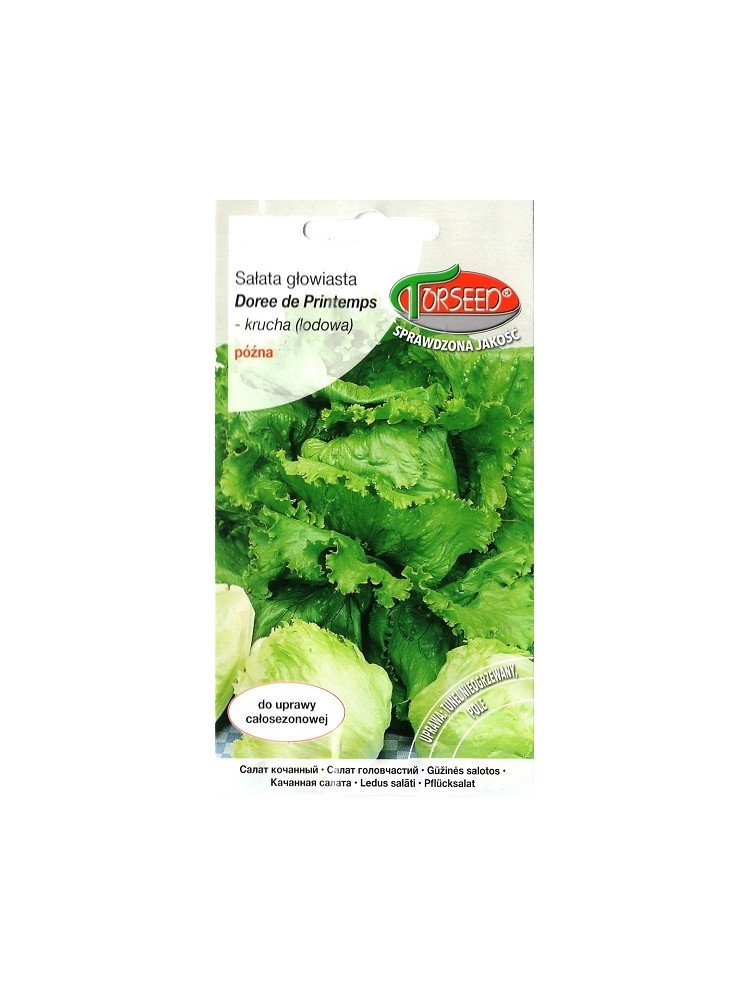 Lettuce 'Doree de Printemps' 0,5 g