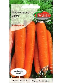 Морковь посевная 'Cidera' 3 г