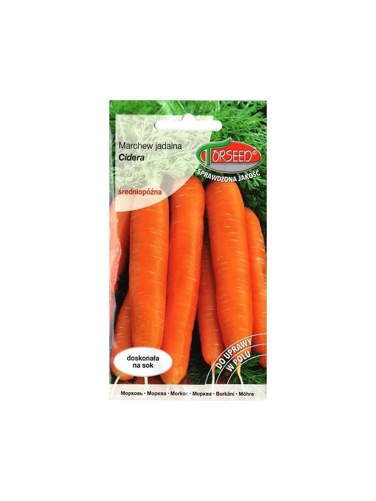 Carrot 'Cidera' 3 g