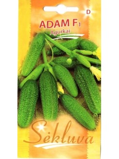 Concombre 'Adam' H, 20 graines