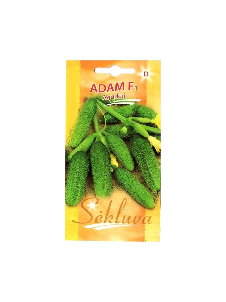 Cucumber 'Adam' H, 20 seeds
