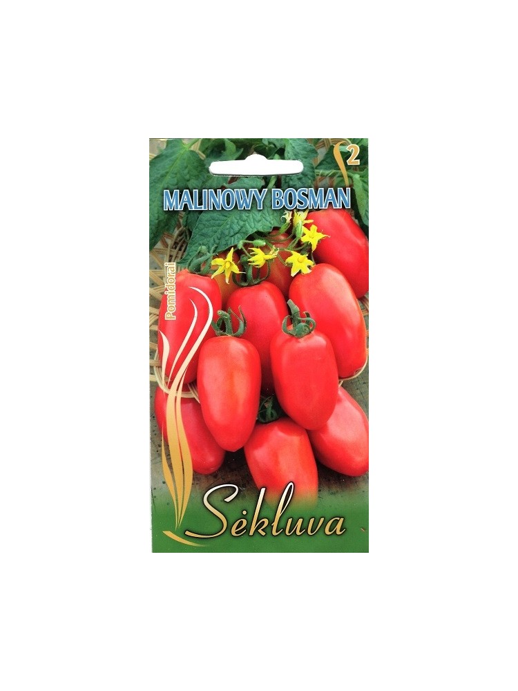 Tomato 'Malonowy Bosman' 0,2 g