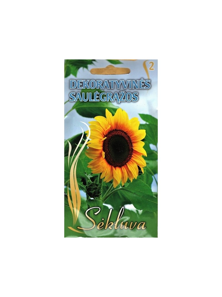 Sunflower 10 g