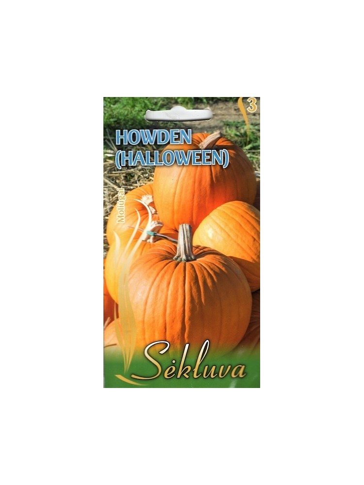 Zucchina trombetta 'Howden' 1,5 g