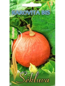 Potiron 'Karovita Bis' 12 graines