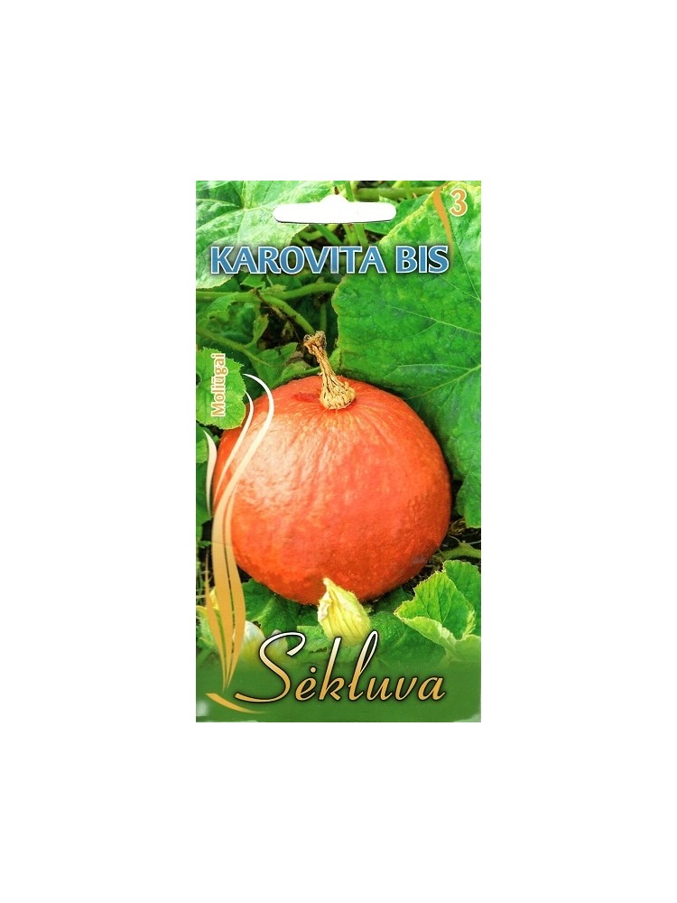 Squash 'Karovita Bis' 12 seeds