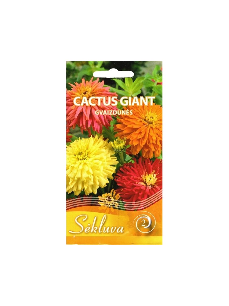 Gleznā cinija 'Cactus Giant', maisījums, 1 g