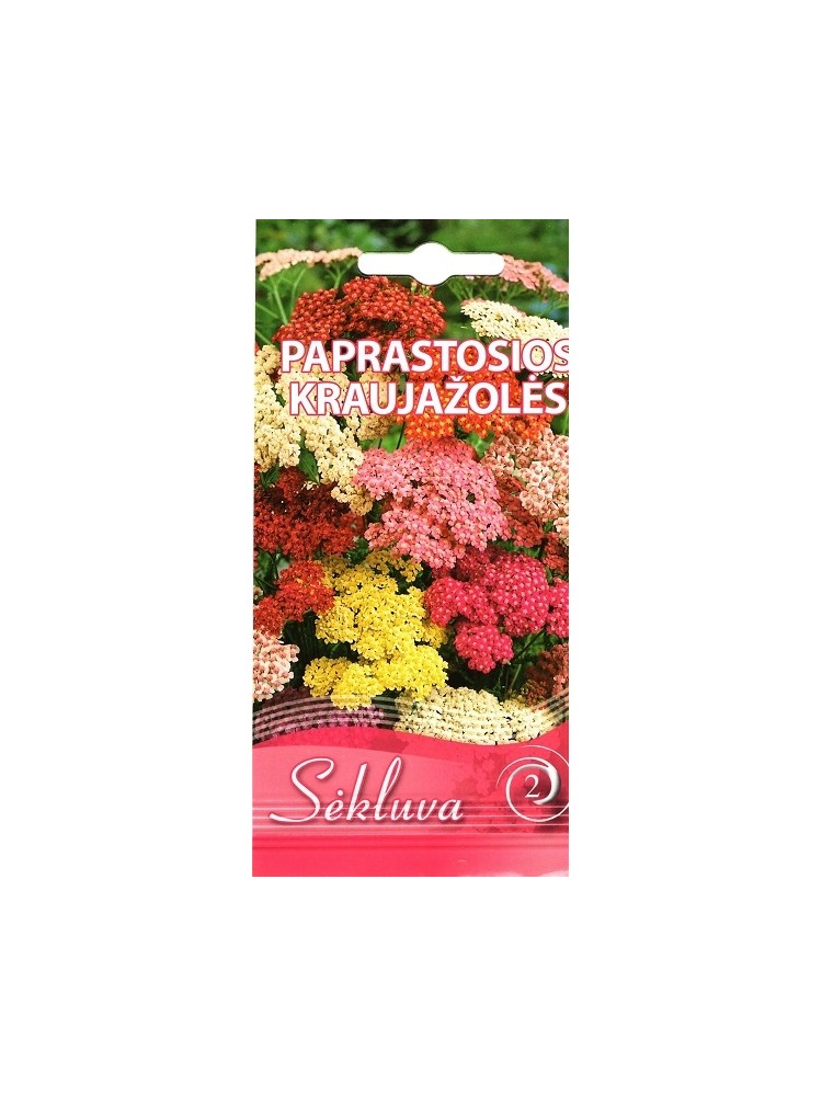 Achillea millefoglie 0,1 g