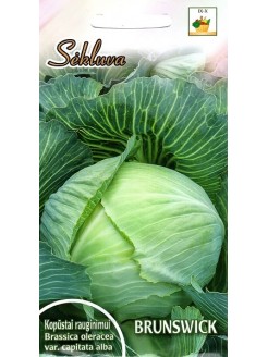 White cabbage 'Brunswik' 2 g