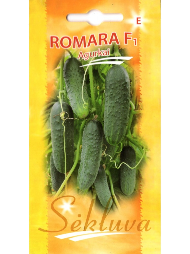 Gherkin 'Romara' H, 100 seeds