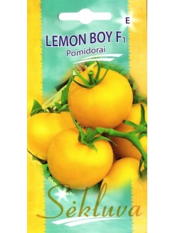 Pomidorai valgomieji 'Lemon Boy' F1, 10 sėklų