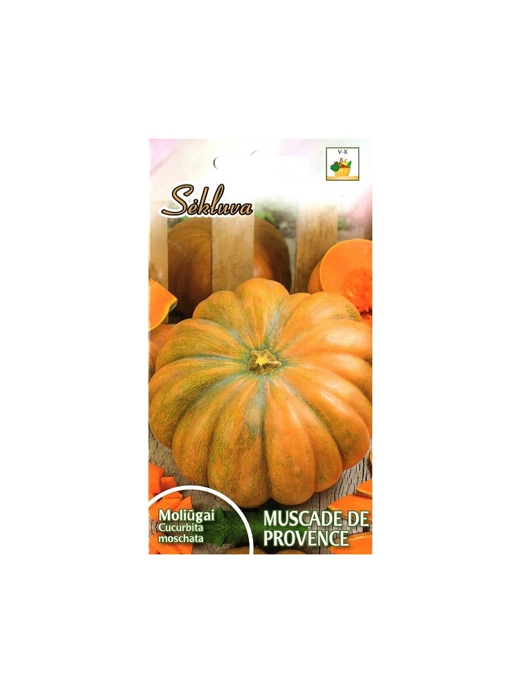 Courge musquée 'Muscade De Provence' 7 graines