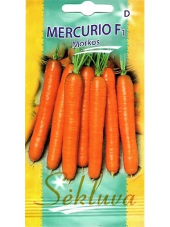 Morkos valgomosios 'Mercurio' H, 700 sėklų