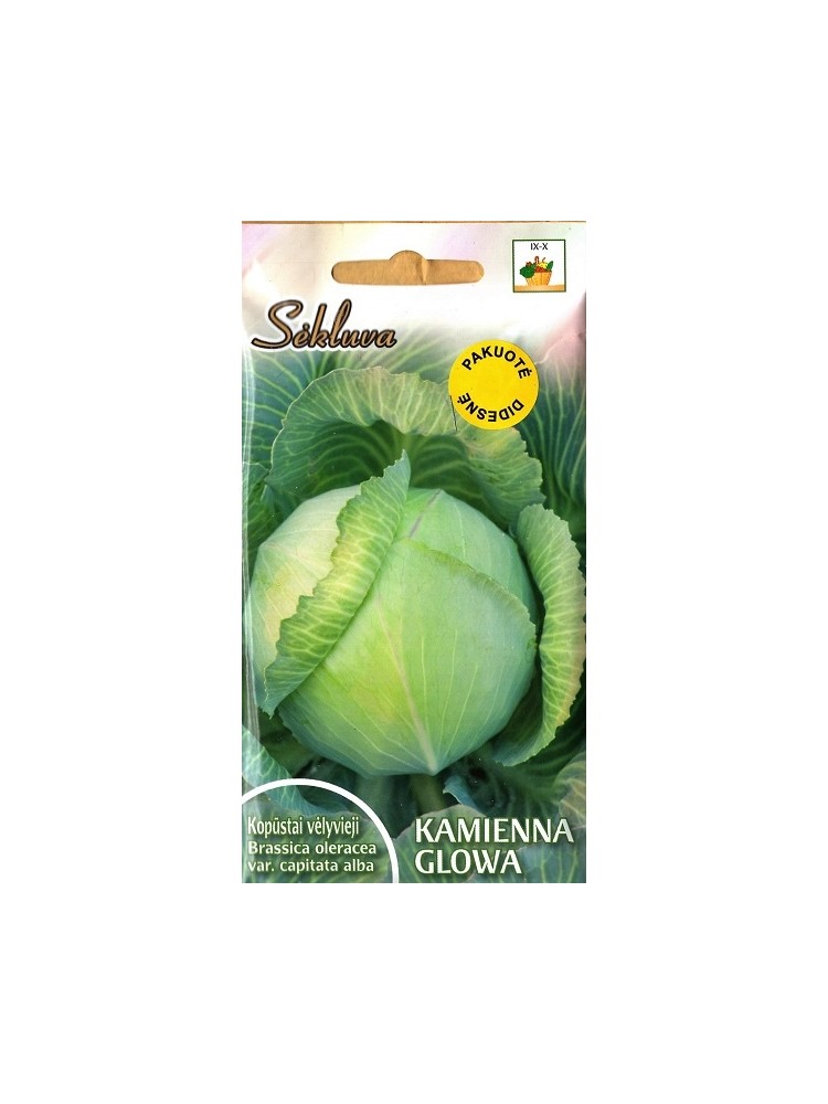 White cabbage 'Kamienna glowa' 30 g