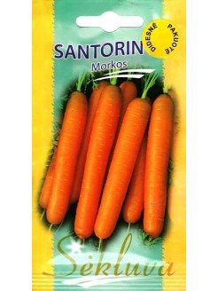 Морковь посевная 'Santorin' H, 5000 семян