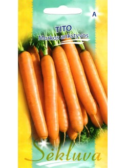 Морковь посевная 'Tito' 2 г