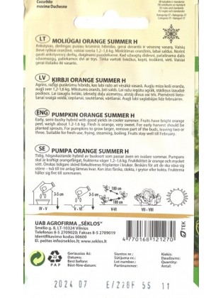 Lielaugļu ķirbji 'Orange Summer' H, 5 sēklas