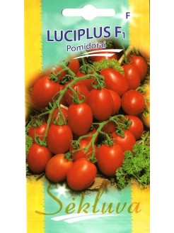 Pomodoro 'Luciplus' H, 10 semi