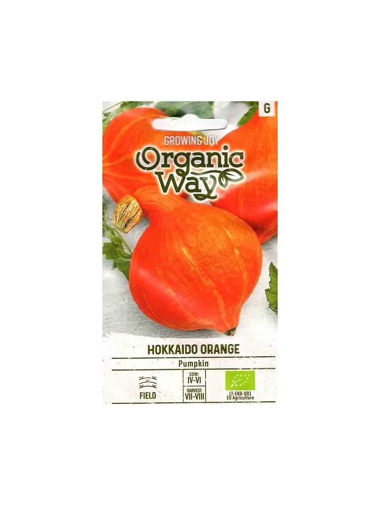 Lielaugļu ķirbji 'Hokkaido Orange' 2 g