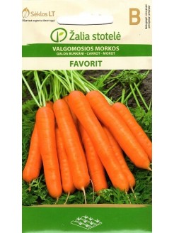 Морковь посевная 'Favorit' 2 г