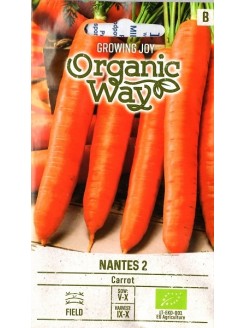 Carrot 'Nantes 2' 2 g