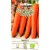 Carrot 'Nantes 2' 2 g