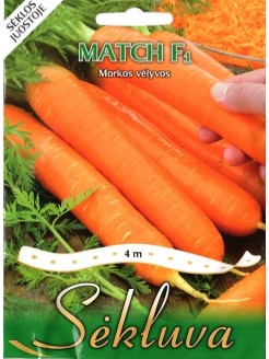 Carrot 'Match' H, 4 m