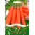 Морковь посевная 'Karotina' 7 m