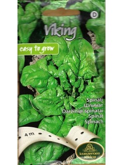 Spinach 'Viking' 4 m