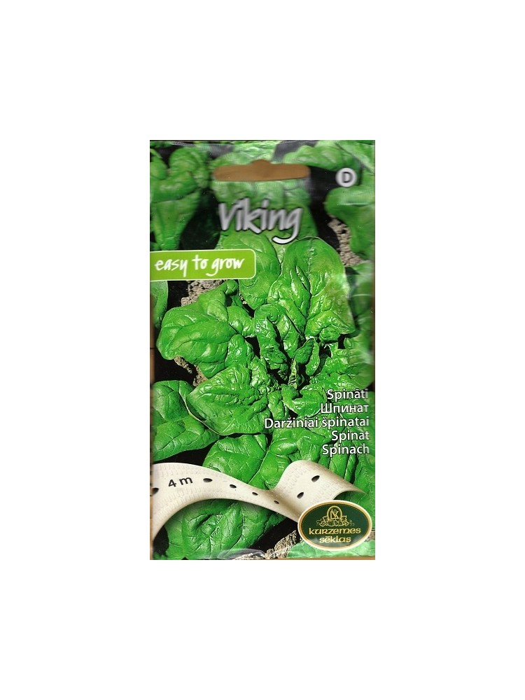 Spinach 'Viking' 4 m