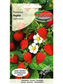 Woodland strawberry 'Regina' 0,2 g