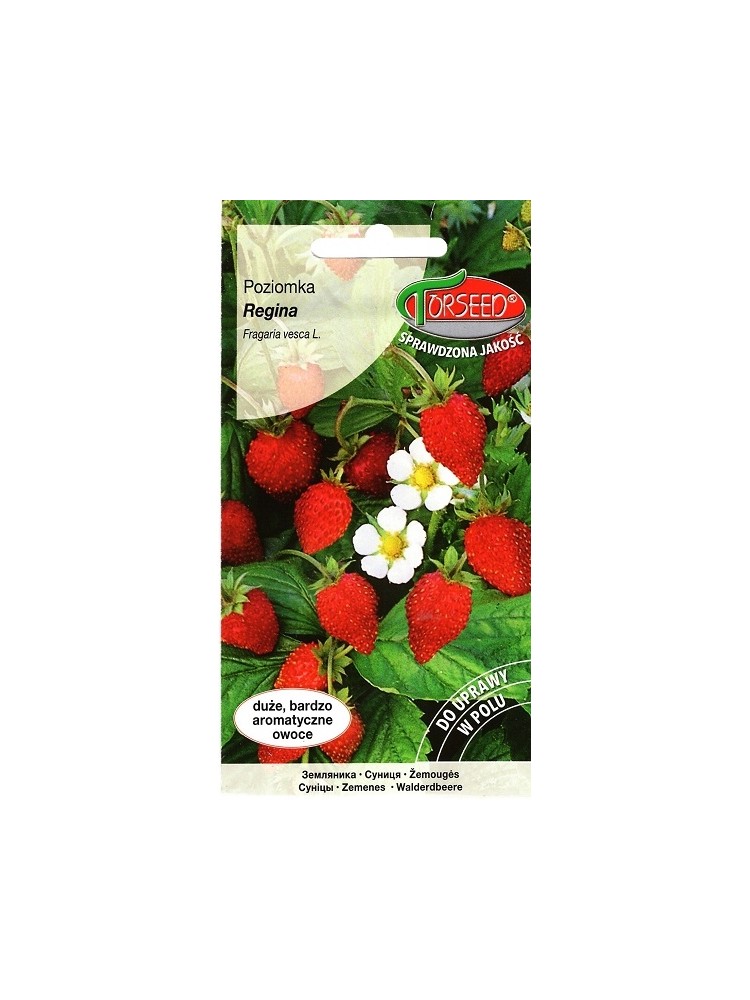 Woodland strawberry 'Regina' 0,2 g