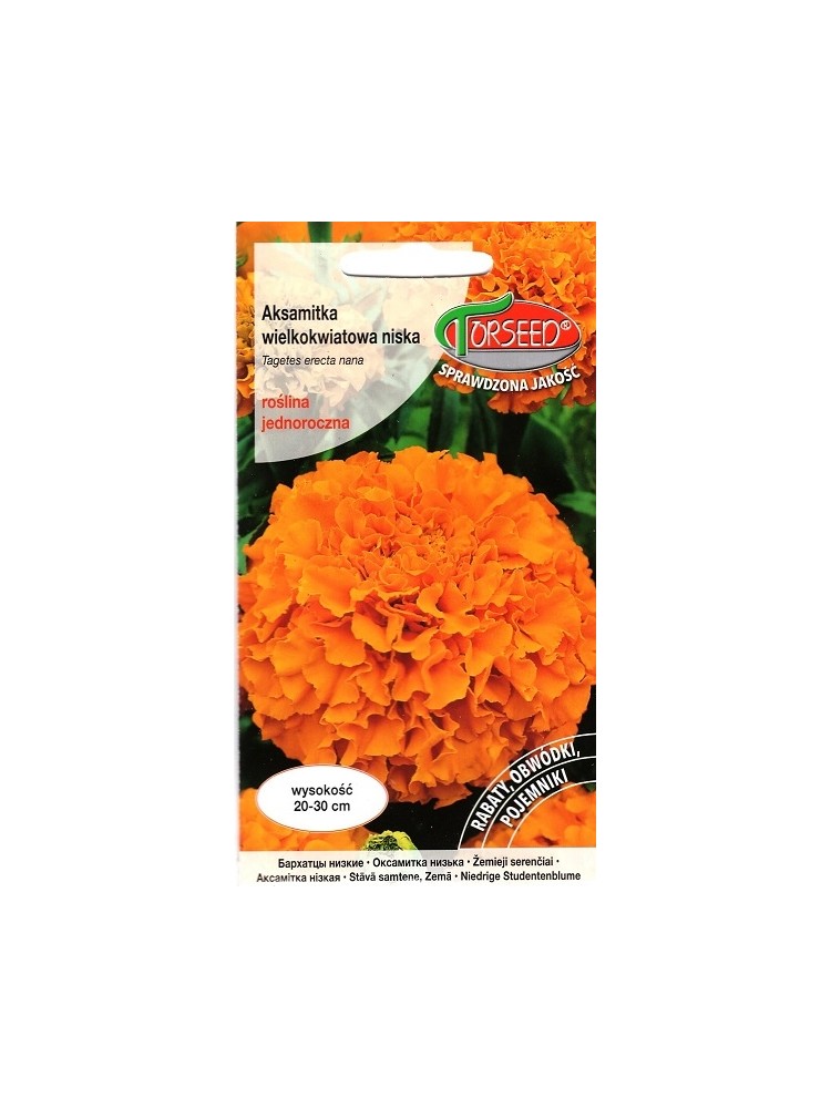 Mexican marigold 1 g