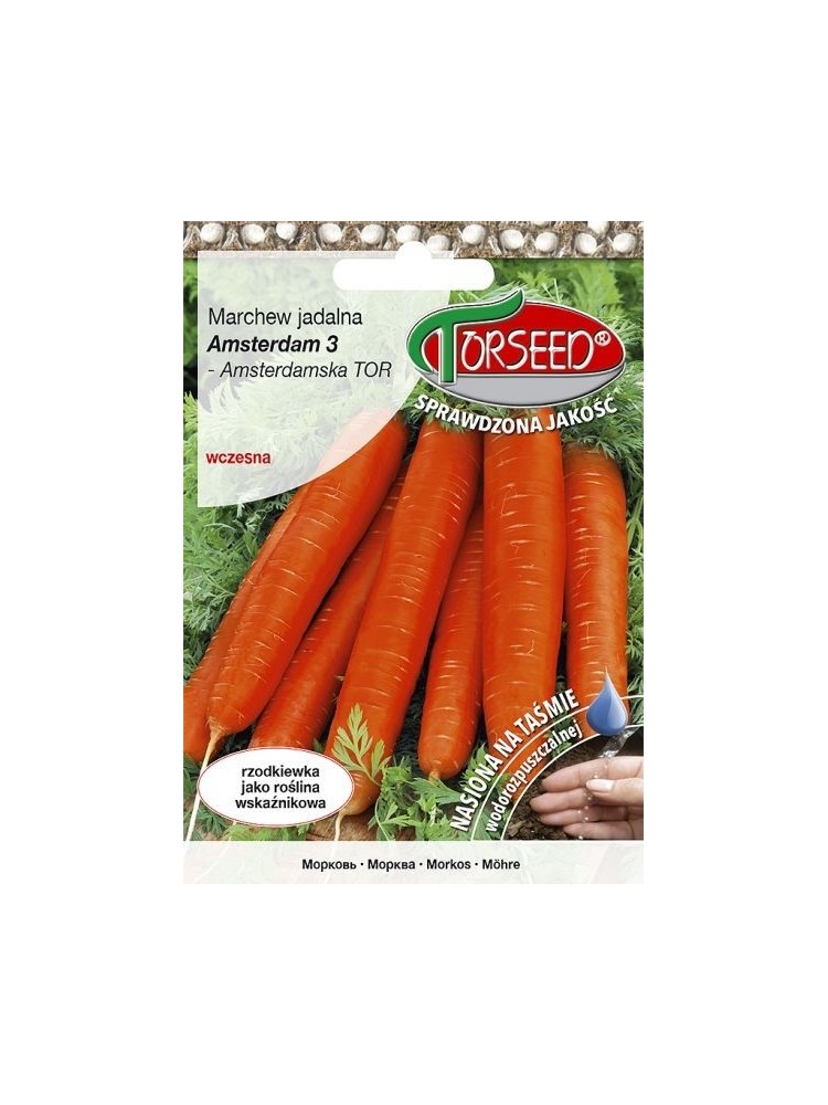 Carrot 'Amsterdam 3' 5 m/ 300 seeds tape