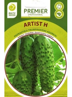 Gherkin 'Artist' H, 20 seeds