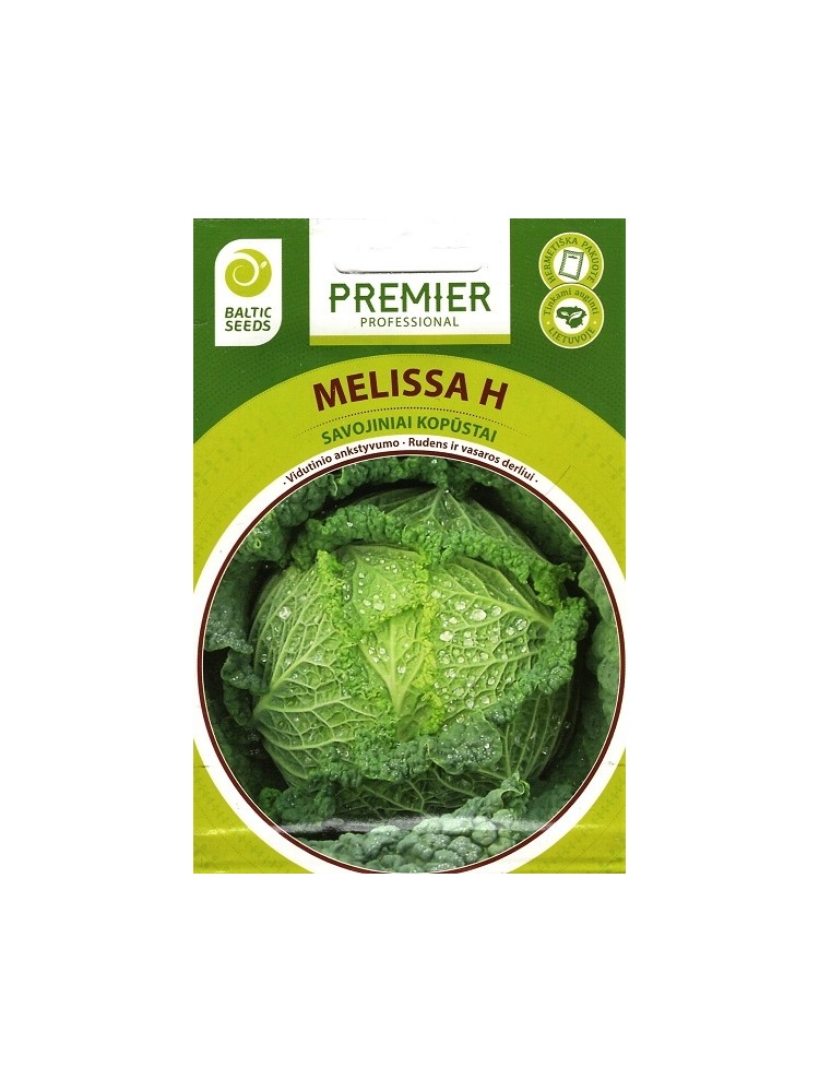 Savoy cabbage 'Melissa' H, 20 seeds