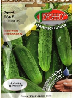 Cucumber 'Edyp' H, 5 m /40 seeds tape