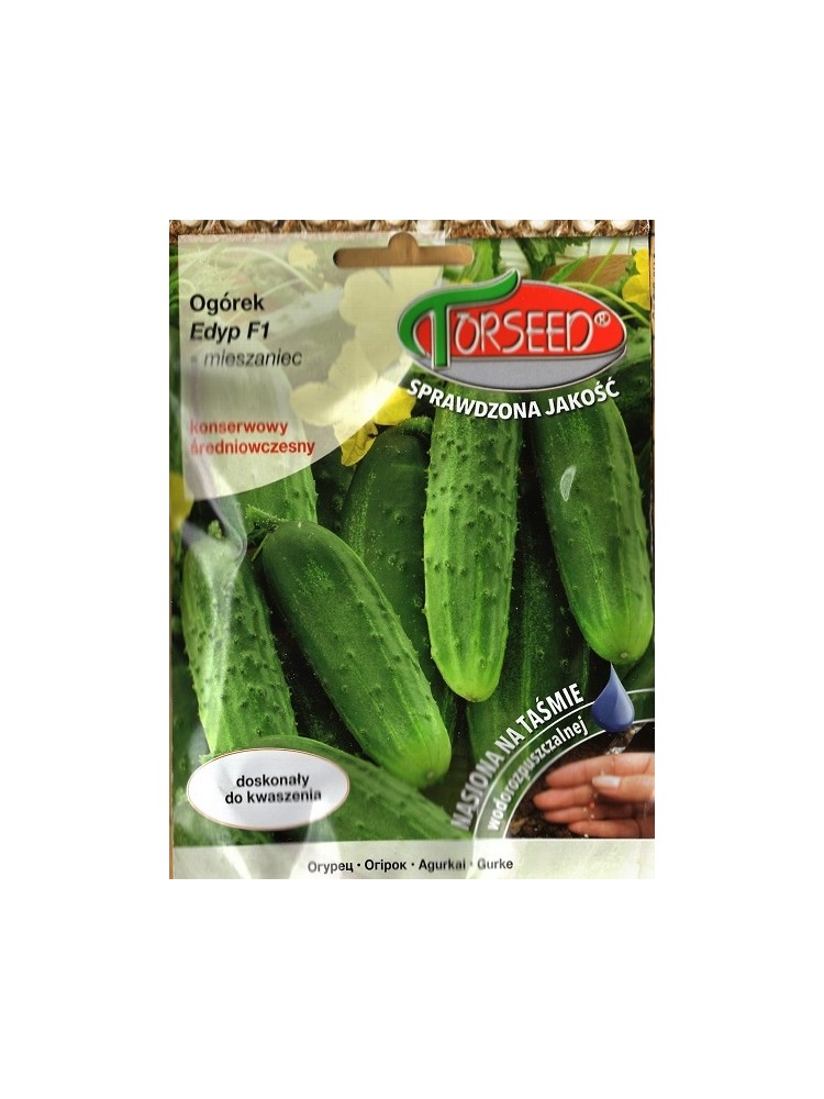 Cucumber 'Edyp' H, 5 m /40 seeds tape