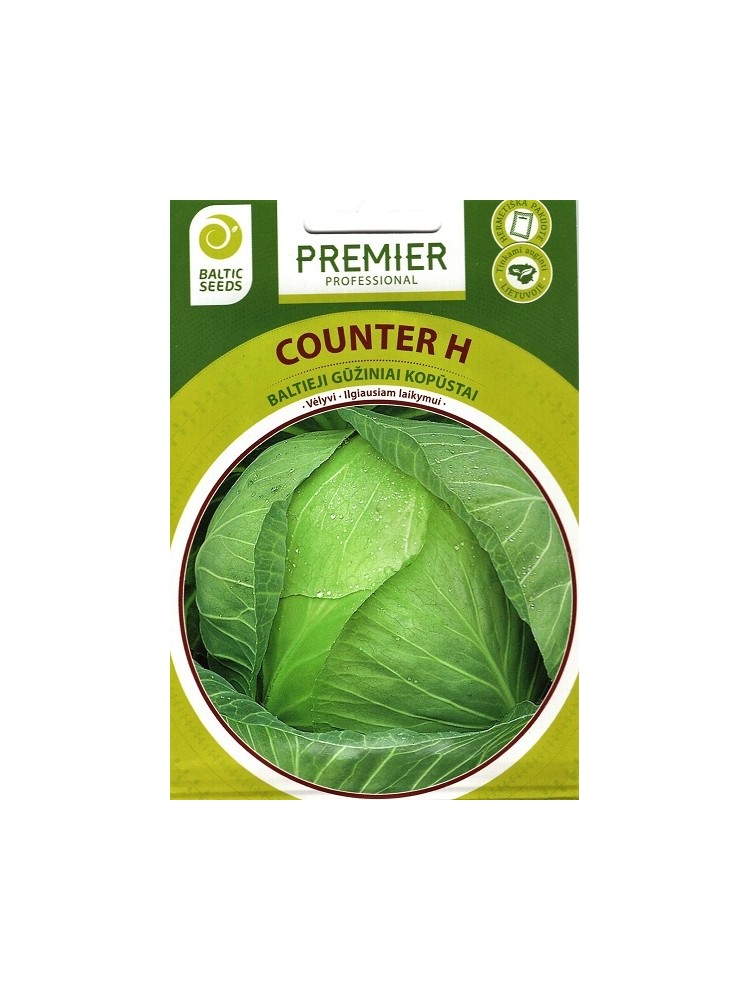 White cabbage 'Counter' H, 45 seeds